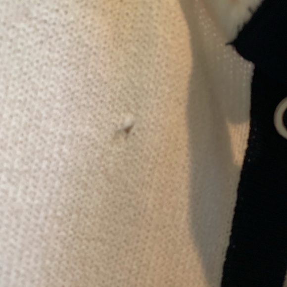 Cream St. John Collection Blazer - Picture 2 of 3